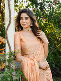 Peach Organza Zari Woven Patola Saree