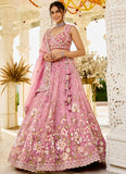 Heavy work organza bridal lehenga choli with satin blouse and embroidered dupatta