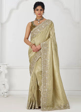 Elegant Chiku Aari Work Dola Silk Saree for Indian Weddings