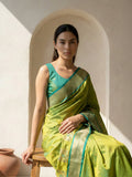elegant silk saree with peacock panel border and rich pallu