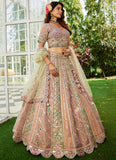 Designer net lehenga for women
