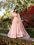 Light Pink Color Sequins And Thread Embroidery Gold Crush Lehenga Choli