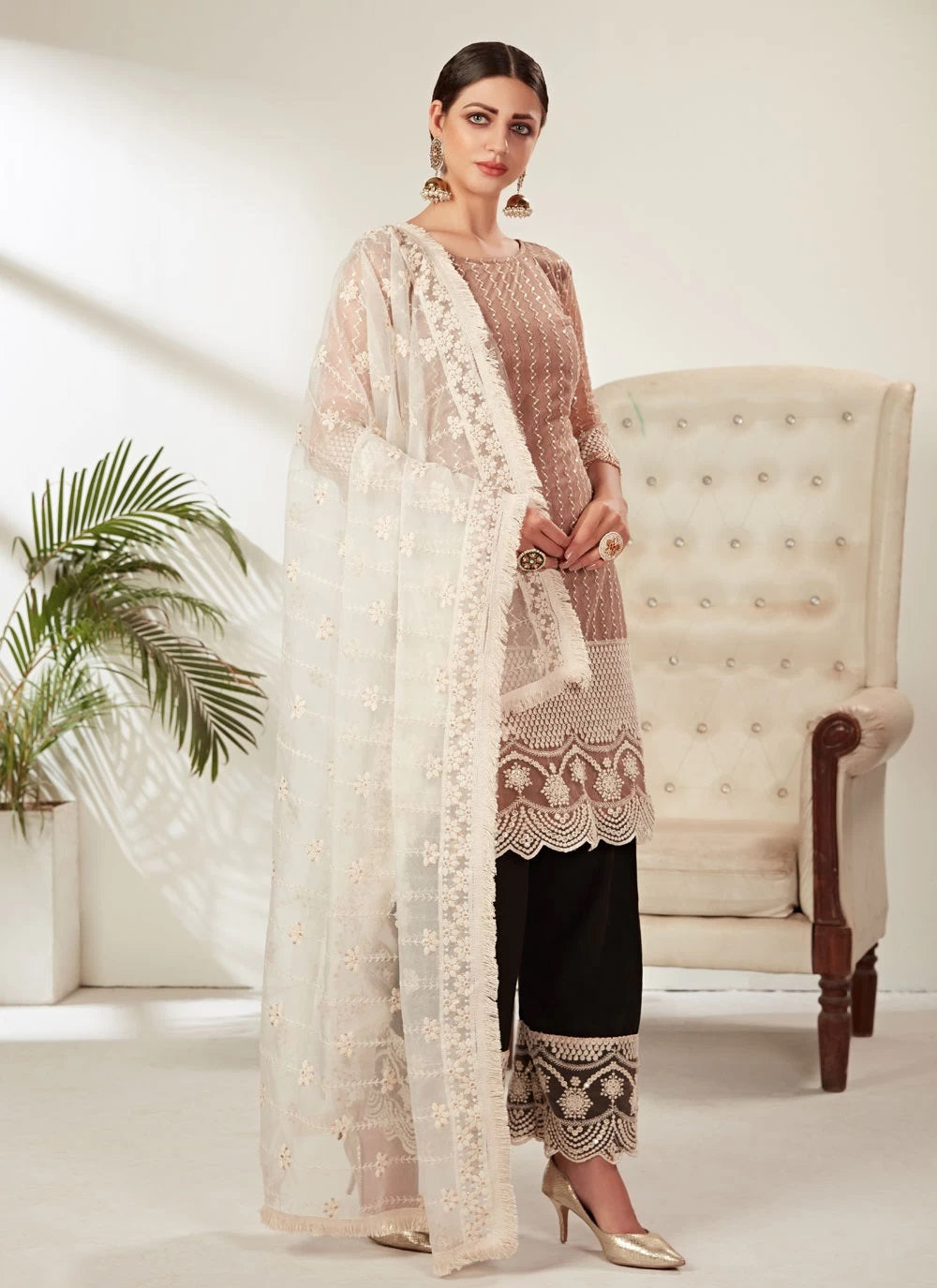 Beige Heavy Butterfly Net Pakistani Suit