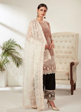 Beige Heavy Butterfly Net Pakistani Suit