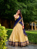 Navy blue lehenga choli with georgette dupatta