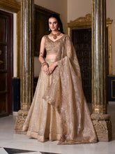 Chiku gold crush lehenga choli with heavy flair