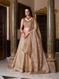 Chiku gold crush lehenga choli with heavy flair