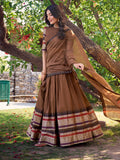 Brown Chanderi lehenga choli with zari border