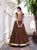 Traditional brown chanderi lehenga with dupatta