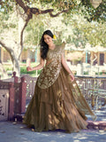 Coffee Color Traditional Lehenga Choli