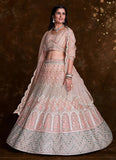 Elegant Peach Net Lehenga Set with Thread and Zari Accents