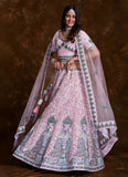 Enchanting Rose Pink Net Trendy Lehenga Choli