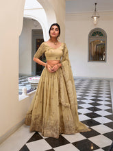 Off-white gold crush lehenga choli with sequins embroidery