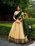 Green lehenga choli with georgette dupatta