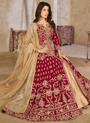 Net dupatta with embroidery paired with maroon abaya suit