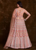 Net Peach Thread and zari A Line Lehenga Choli