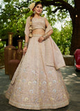 Opalescent Nude Tissue Lehenga with Sequins & Embroidery