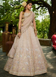 Opalescent Nude Tissue Lehenga with Sequins & Embroidery