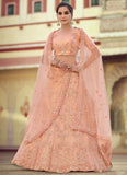 Party Wear Soft Net Sequins and thread work Lehenga in Peach