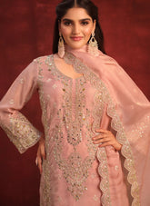 Pink Viscose organza Embroidery Pakistani Straight Suit