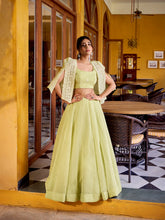 Tea color festive chaniya choli set