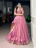 Wedding Wear Traditional Lehenga Choli
