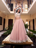 Pastel pink lehenga choli with sequins embroidery