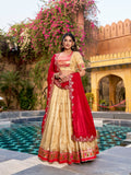 Zari weaving Work With Paithnai Border Lehenga