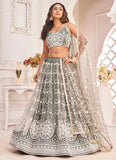 Dusty Green Net Zari and Embroidered Lehenga Choli