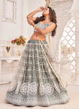 Dusty Green Net Zari and Embroidered Lehenga Choli