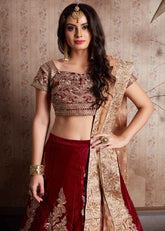 Velvet Silk Embroidered Lehenga