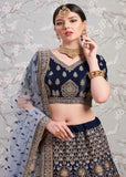 Lehenga With Designer Blouse
