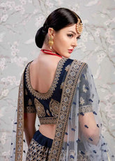 Lehenga With Designer Blouse