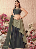 Fancy Lehenga
