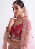 Wedding Wear Shaded Rani Net Embroidered and Zarkan work lehenga