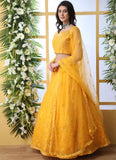 Designer Net Lehengas
