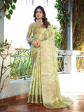 Pista Green Organza Zari Woven Patola Saree
