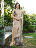 Grey Organza Zari Woven Patola Saree