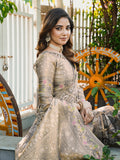 Grey Organza Zari Woven Patola Saree