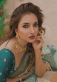 Rupali Bhosle in our Chickoo Pure Tissue Zari Woven Saree with Contrast Weaves