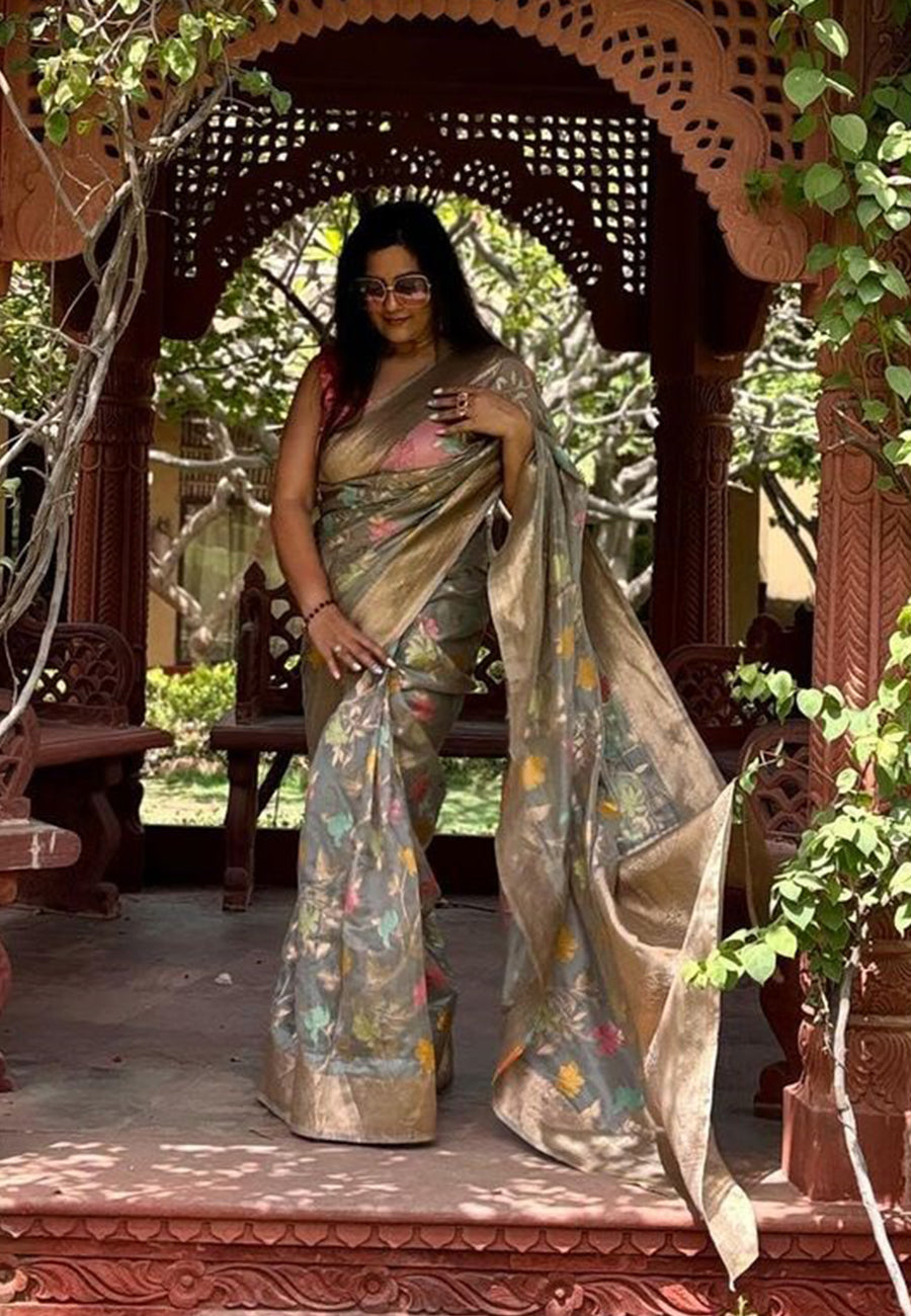 Riti Verma in Grey Organza Meenakari Floral Zari Woven Saree