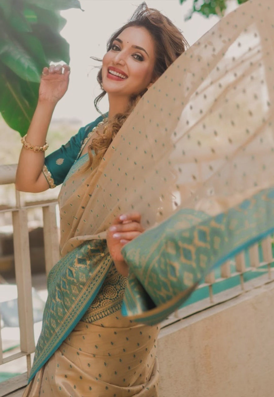 Rupali Bhosle in our Chickoo Pure Tissue Zari Woven Saree with Contrast Weaves