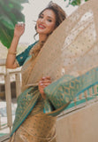 Rupali Bhosle in our Chickoo Pure Tissue Zari Woven Saree with Contrast Weaves