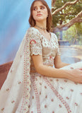 Beads and stone work lehenga