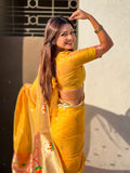 Yellow Organza Swan Paithani Silk Zari Woven Saree