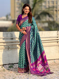 premium soft silk saree with woven ikat pattern and brocade blouse