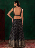 Sequins embroidered blue lehenga with organza dupatta