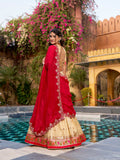 Zari weaving Work With Paithnai Border Lehenga