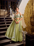 Tea Color Sequins And Thread Embroidery Work Gold Crush Lehenga Choli