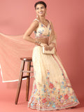 Cream Net Sequinse and Multi colour Thread Embroidery Lehenga